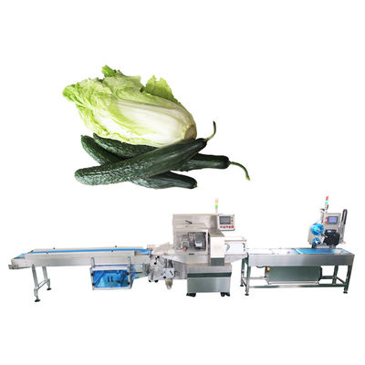 Automatische Hoofdkussentype Aardappel Plantaardige Verpakkende Machine